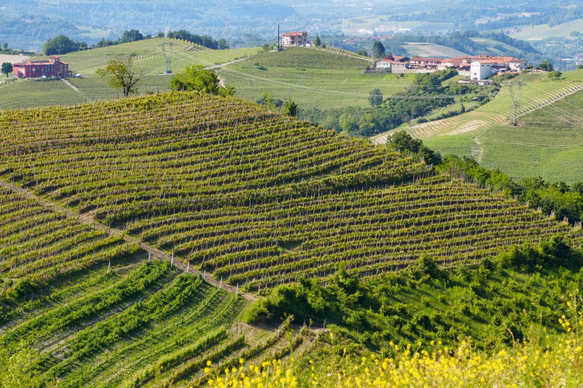 Вилла Casa Felice Farigliano Экстерьер фото